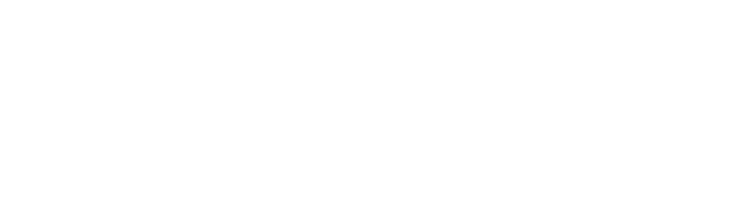 Novel